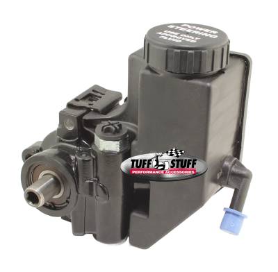Type II Power Steering Pump 6175ALB-7 And 6175ARES Assembled, Black Powder Coated, 7890BK